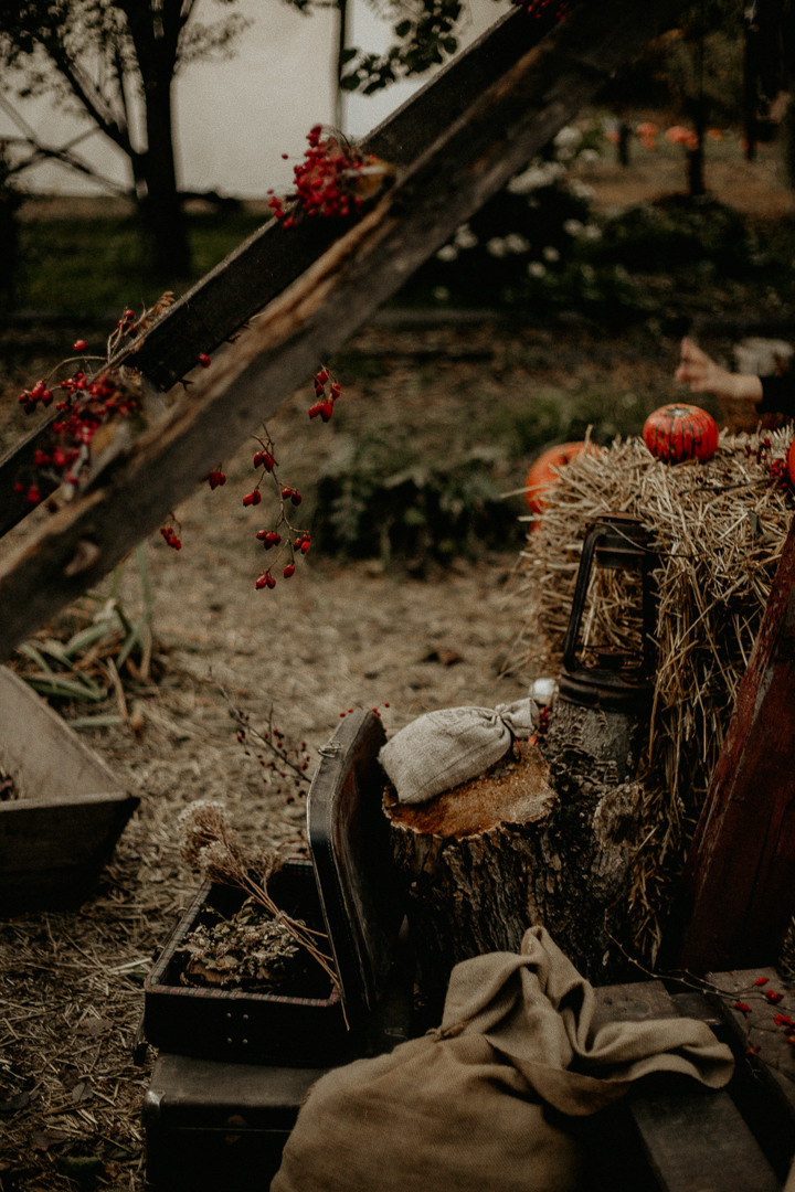 Garden Love in Rostov. Фотограф в Краснодаре и Краснодарском Крае