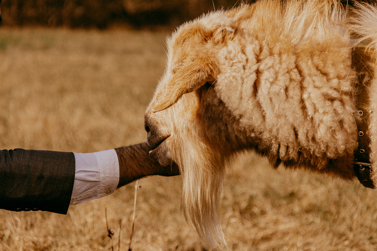 Свадебный фотограф  Сочи. Фотограф в Краснодаре и Краснодарском Крае