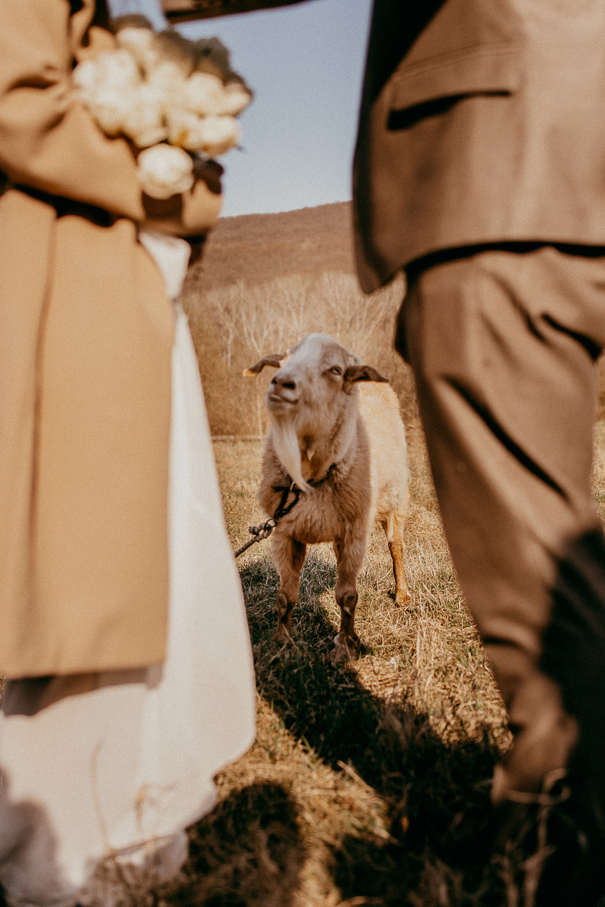 Свадебный фотограф  Сочи. Фотограф в Краснодаре и Краснодарском Крае