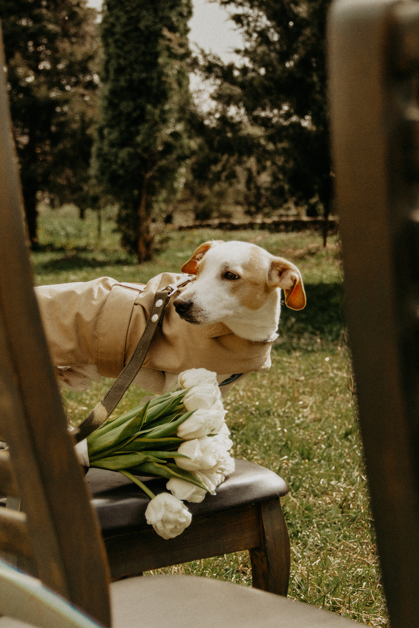 Свадебный фотограф  Сочи. Фотограф в Краснодаре и Краснодарском Крае