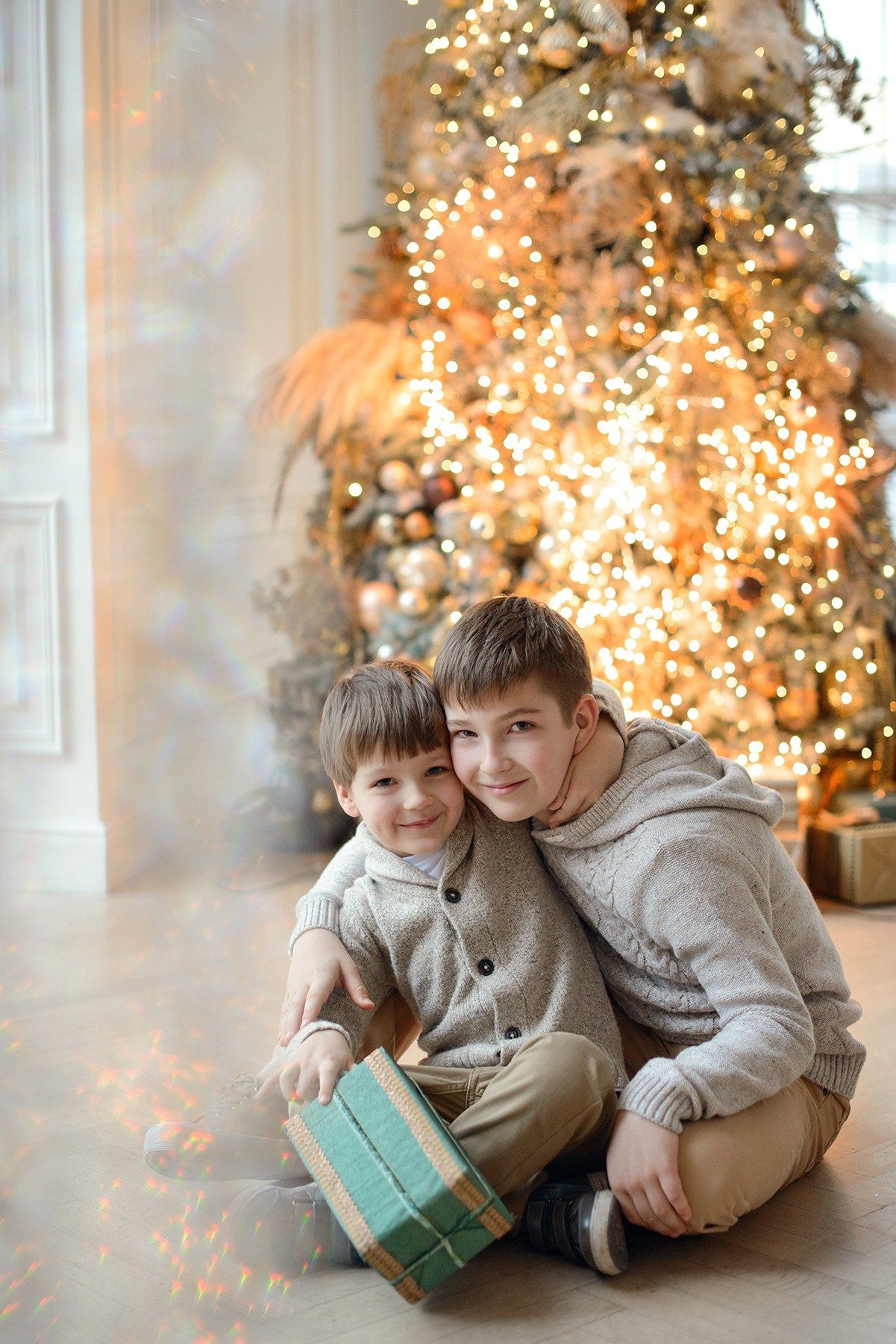 Brothers, two boys, Studio photo shoot at Christmas time