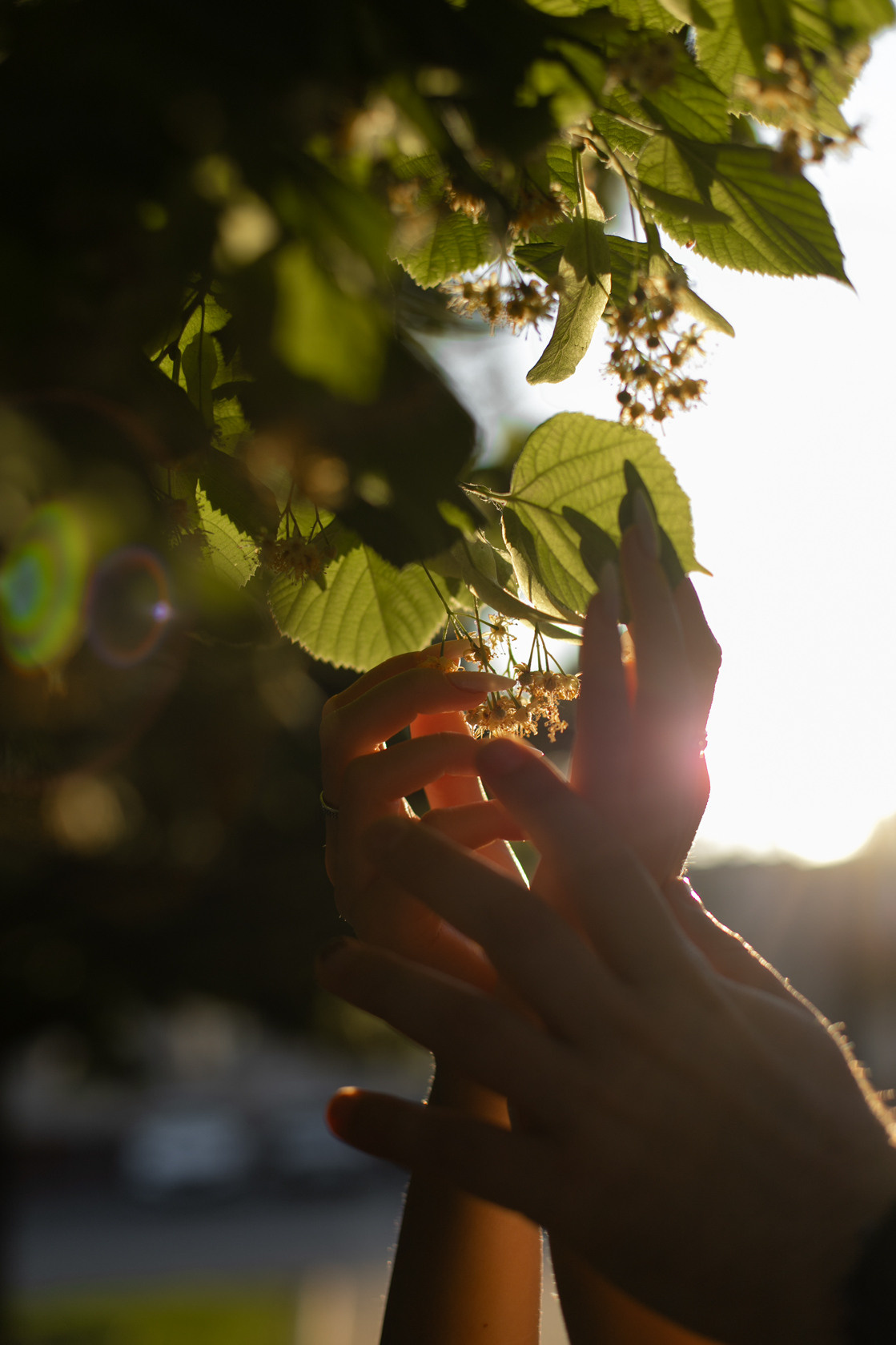 Юлия и Андрей. Фотограф Белгород