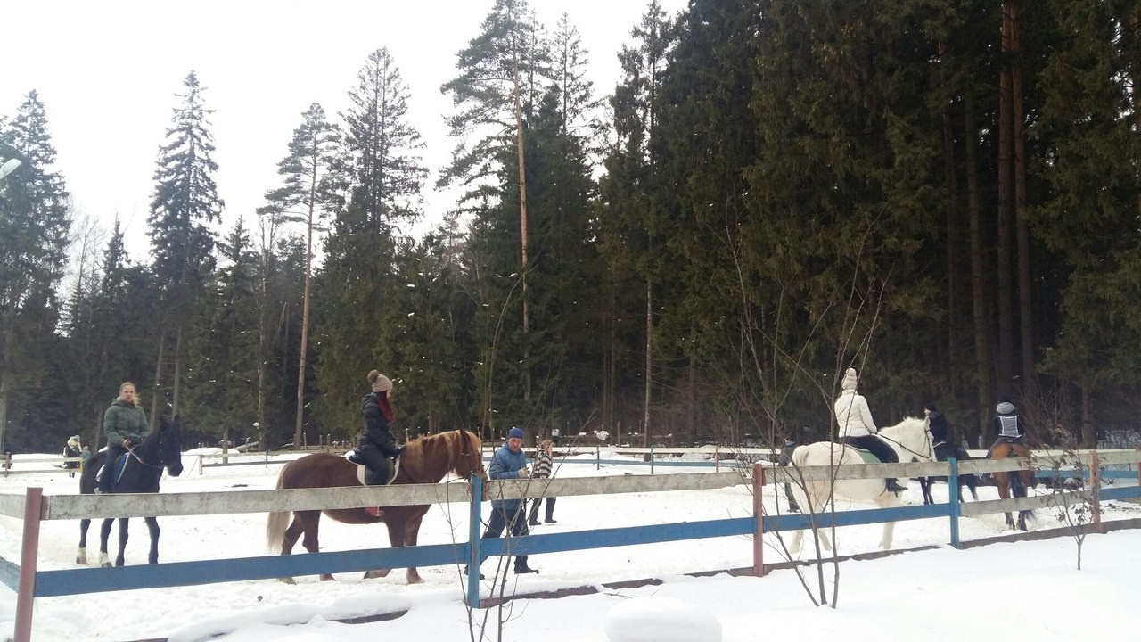 Активные выходные |18-19.02.2017. Галерея Фантим