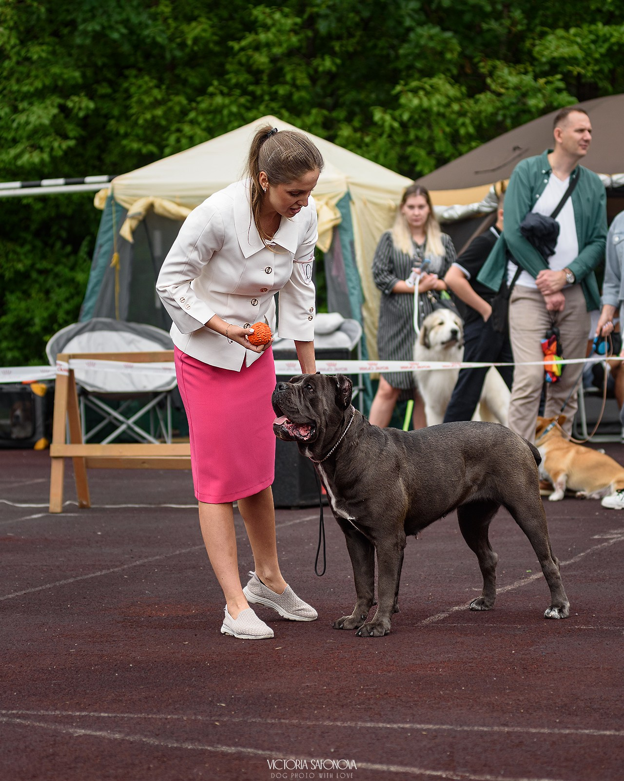10 августа 2024. Благовещенск. Фотограф анималист Благовещенск. Сафонова Виктория