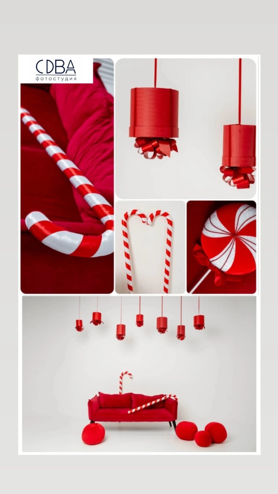 Сова. Фотограф в Таганроге и Ростове-на-Дону