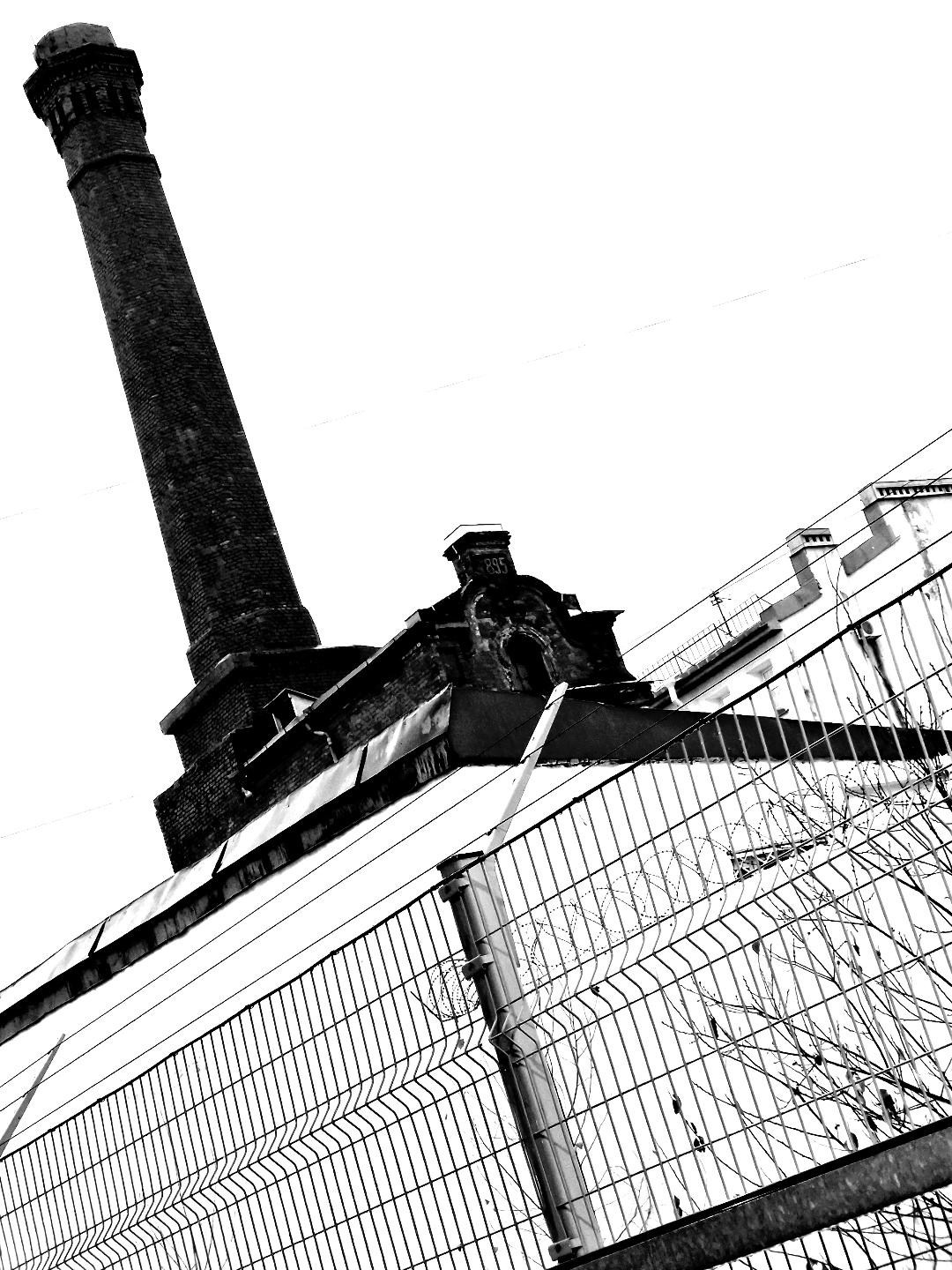 St. Petersburg. Juliarubis.com