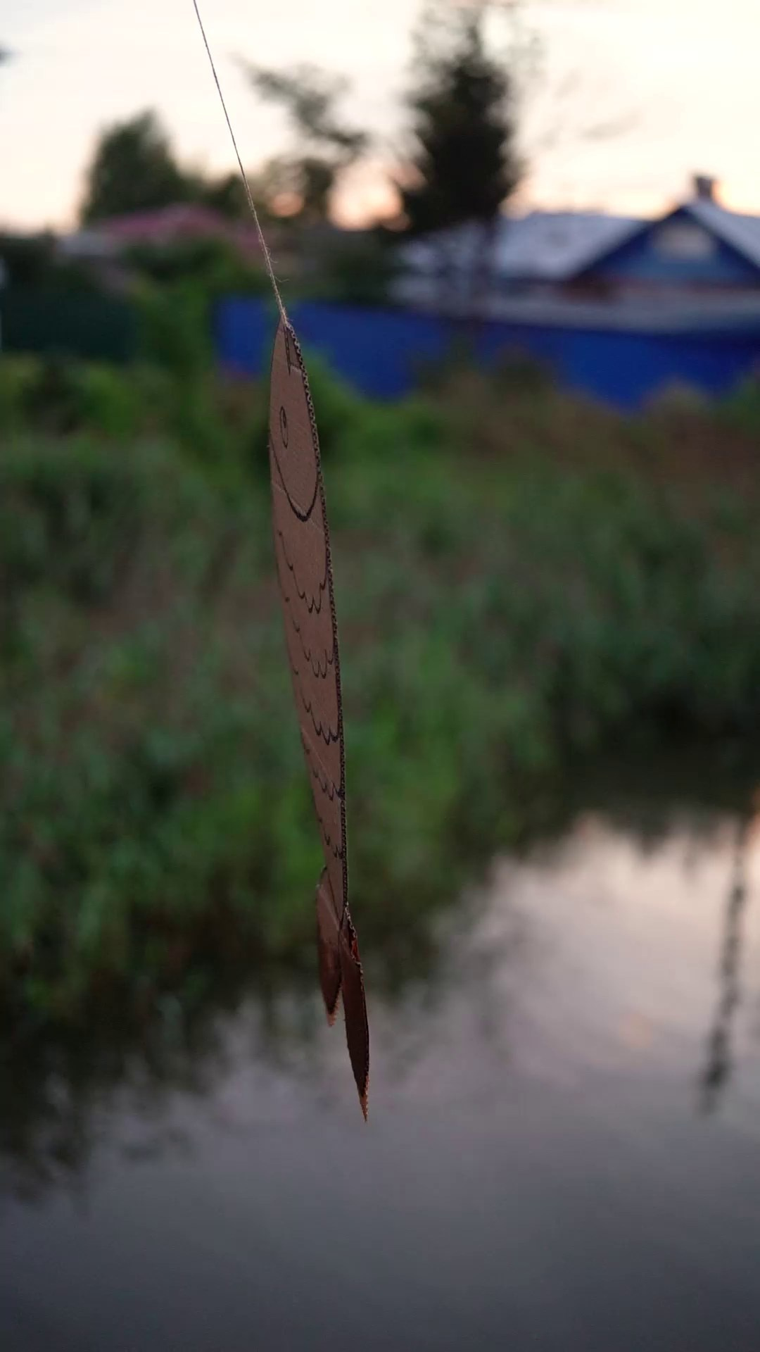 ВидеоИстории. Семейный и детский фотограф в Сергиев Посаде, Хотьково Якимчук Любовь