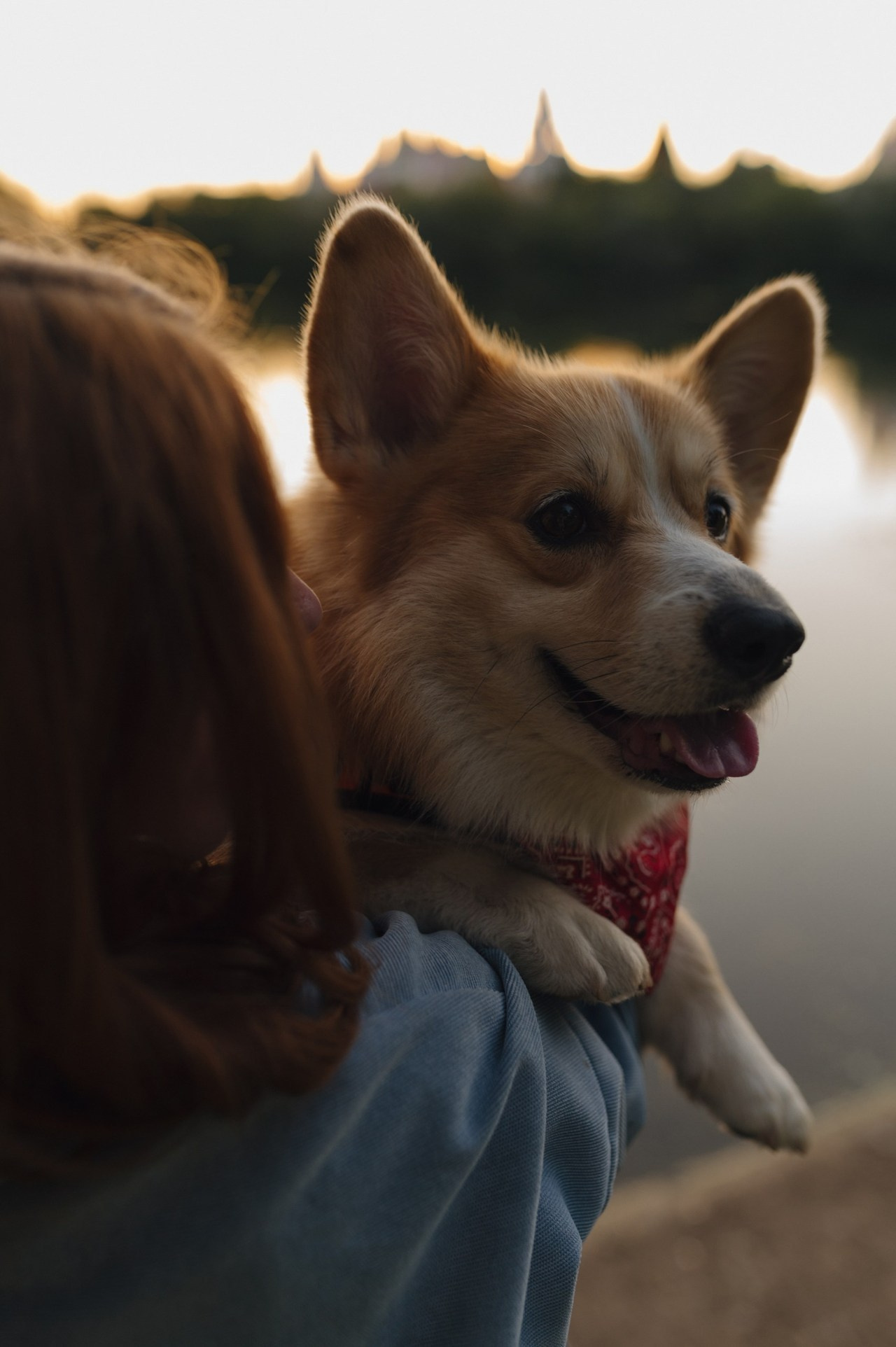 Отзывы. Свадебный фотограф Москва и Санкт-Петербург. Анастасия Чудина