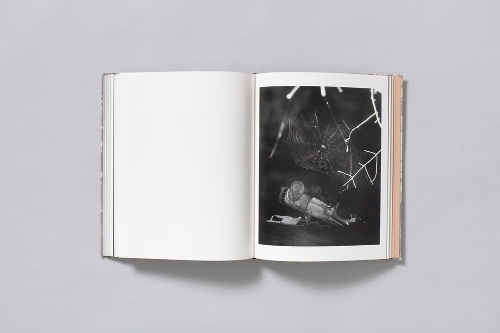 ФОТОКНИГА КАК ДИСЦИПЛИНА: (НЕ) СТРЕМИТЕЛЬНОЕ РАЗВИТИЕ. Самоорганизация Низина