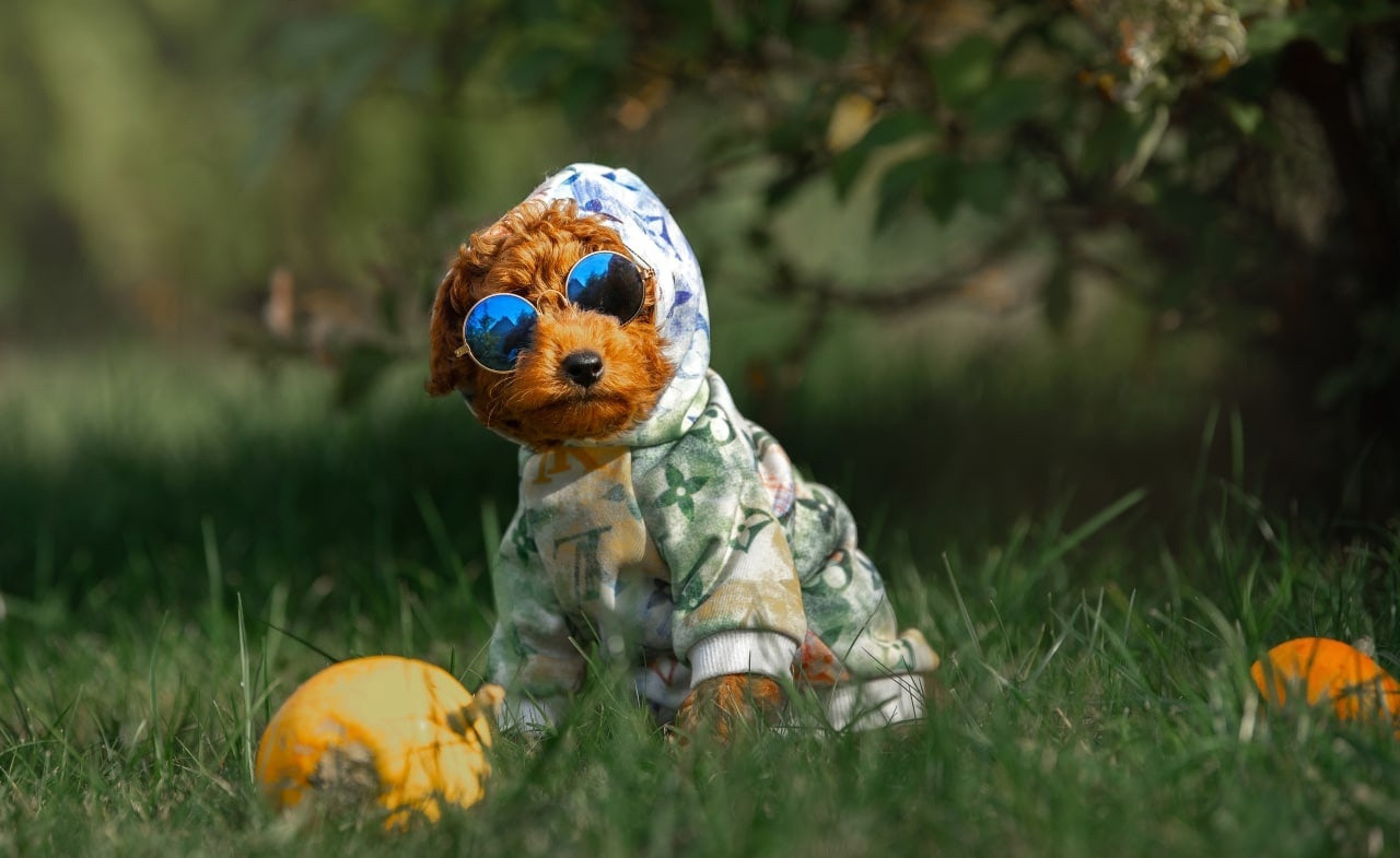 Лаиса Зернова. Фото школа, обучение фотографии в Калининграде