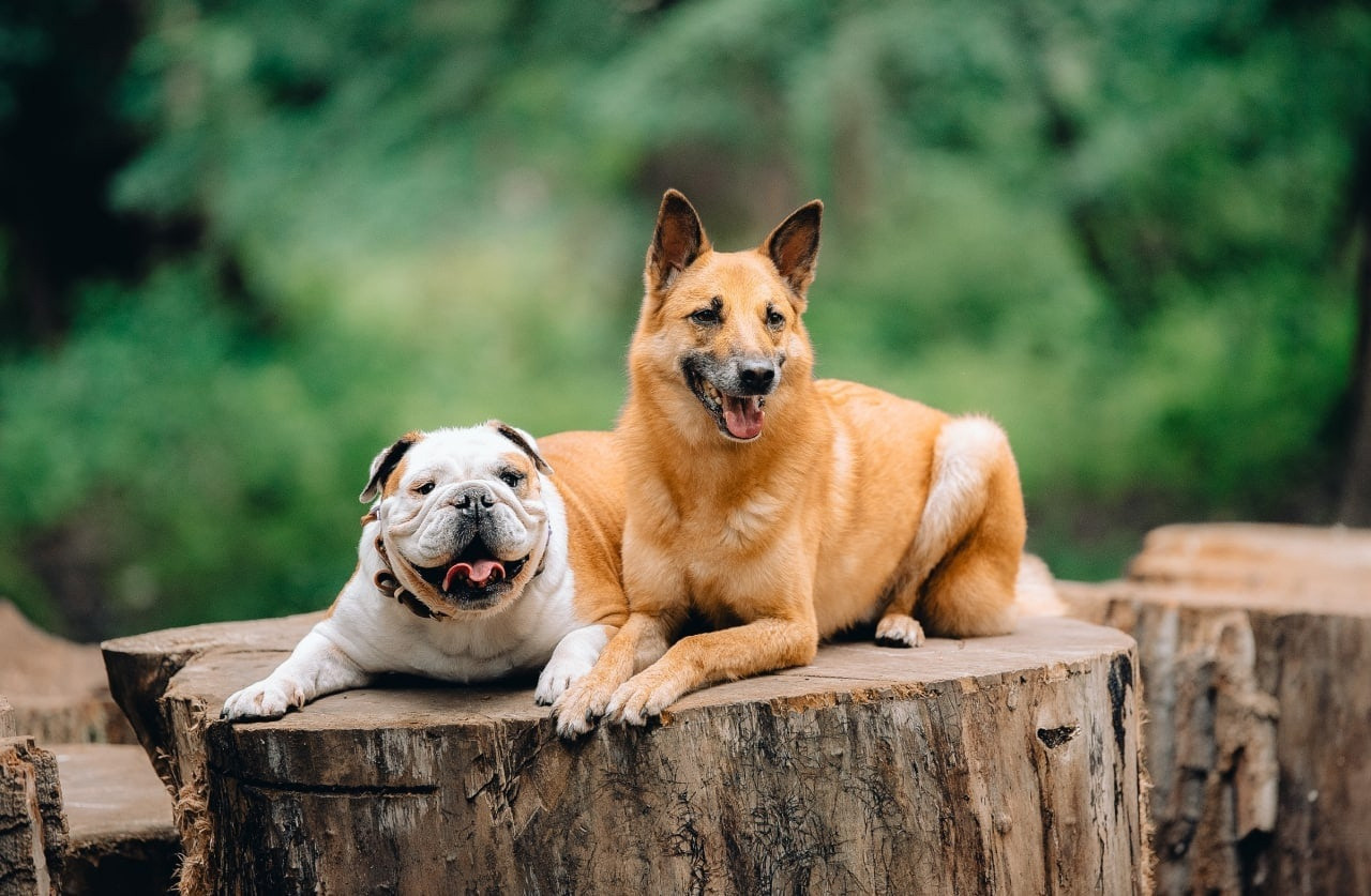 Лаиса Зернова. Фото школа, обучение фотографии в Калининграде