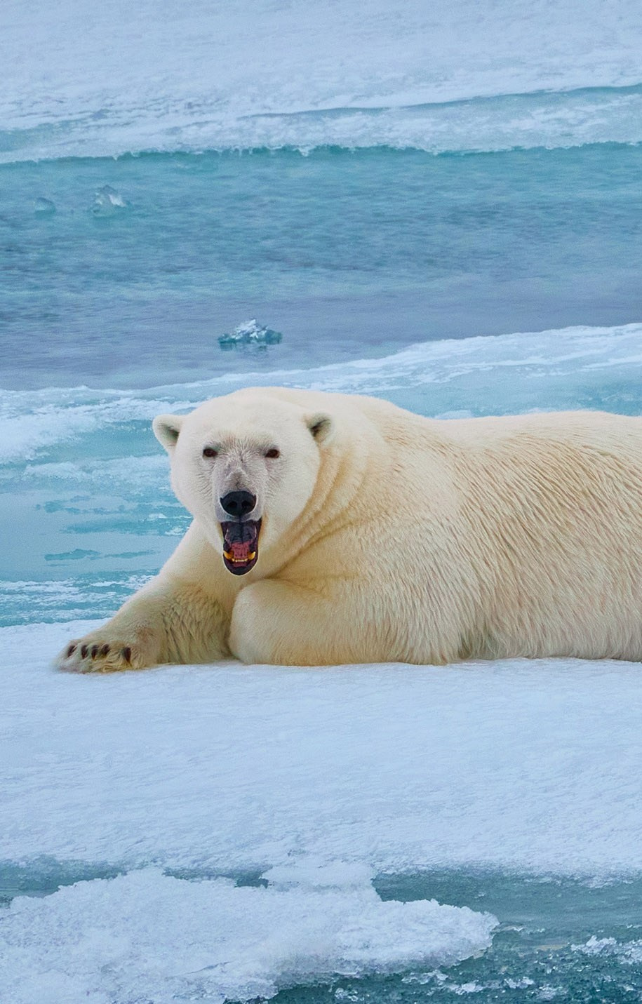 Международная онлайн-фотошкола Сергея Рожнова