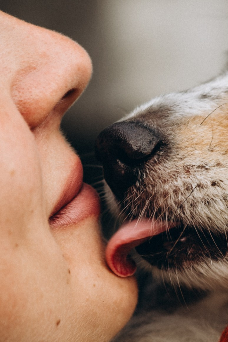 Яна и Холли. Мария Кобзева, фотограф в Ялте, Крым