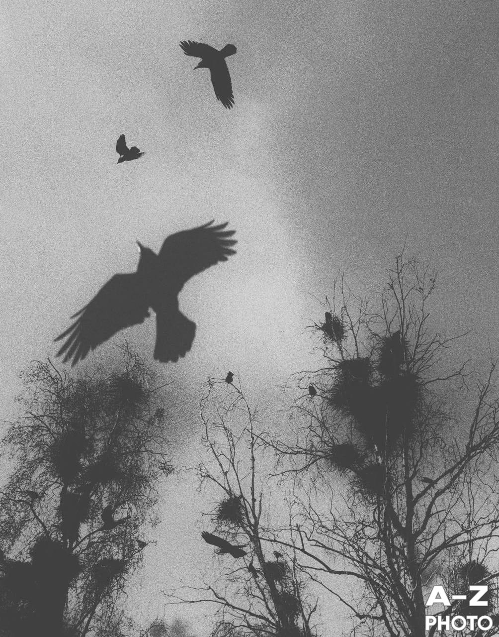 #ФОТОНЕДЕЛИ 13.04.2026. Женский семейный фотограф Тула Москва Захарова Анна