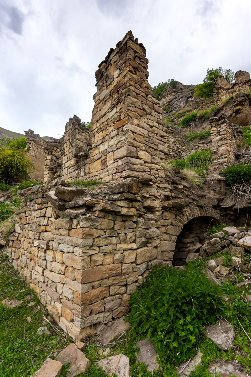 Аул Кахиб. Photomantis