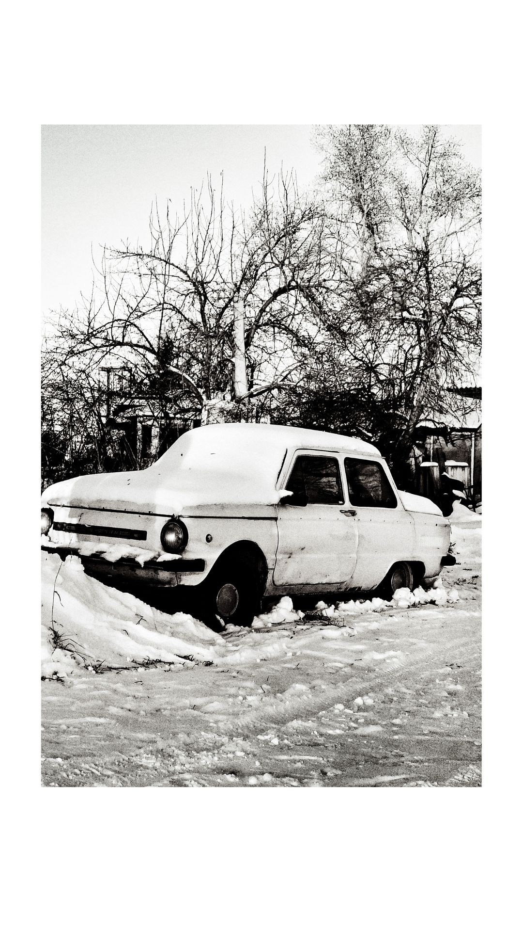 Зима по-сибирски. Главная