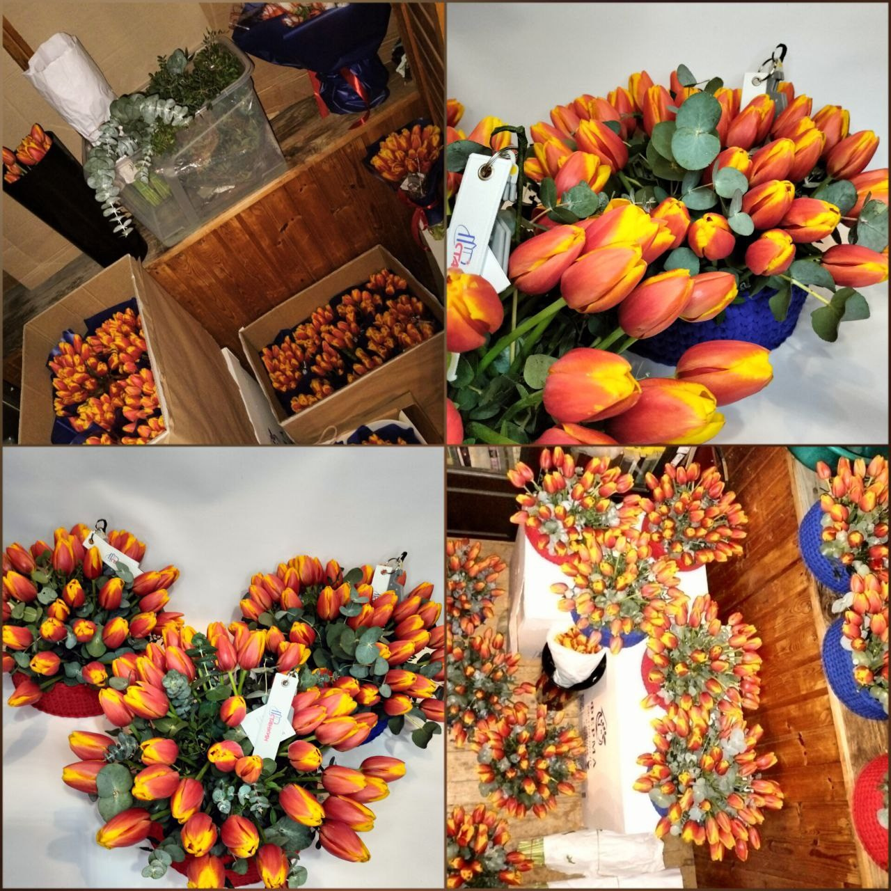 675 тюльпанов в 15 корзинах d25, связанных вручную. Где d с цветочным наполнением ~40-45см