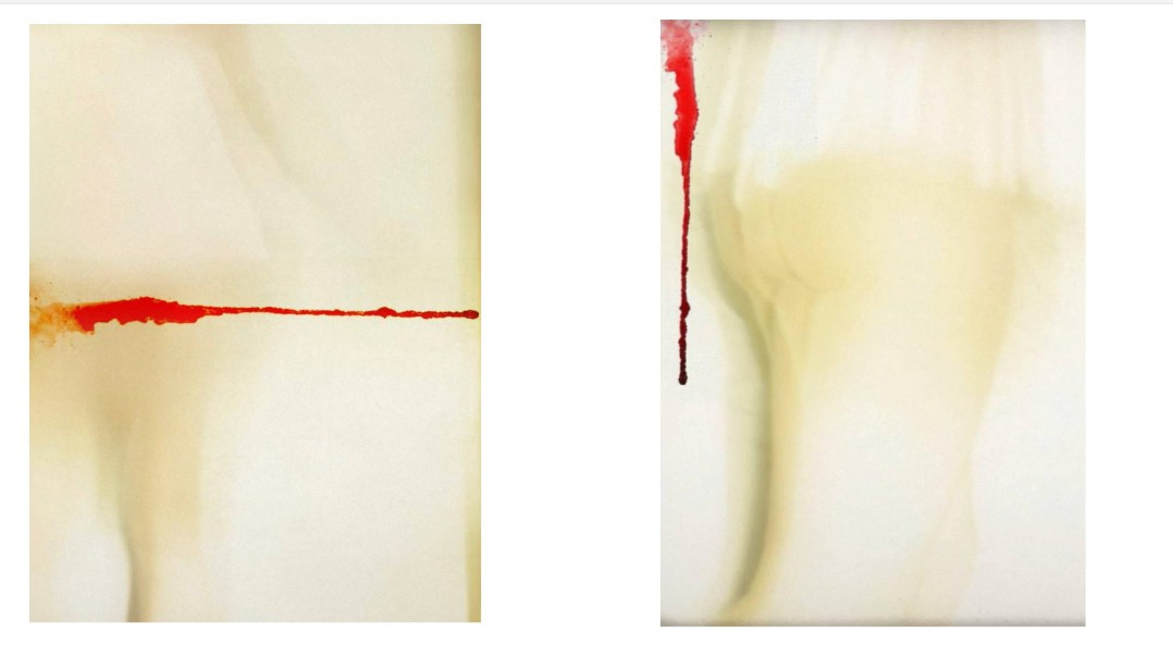 Проекты. Женский фотограф, видеограф, визуальный артист. Радужный ХМАО