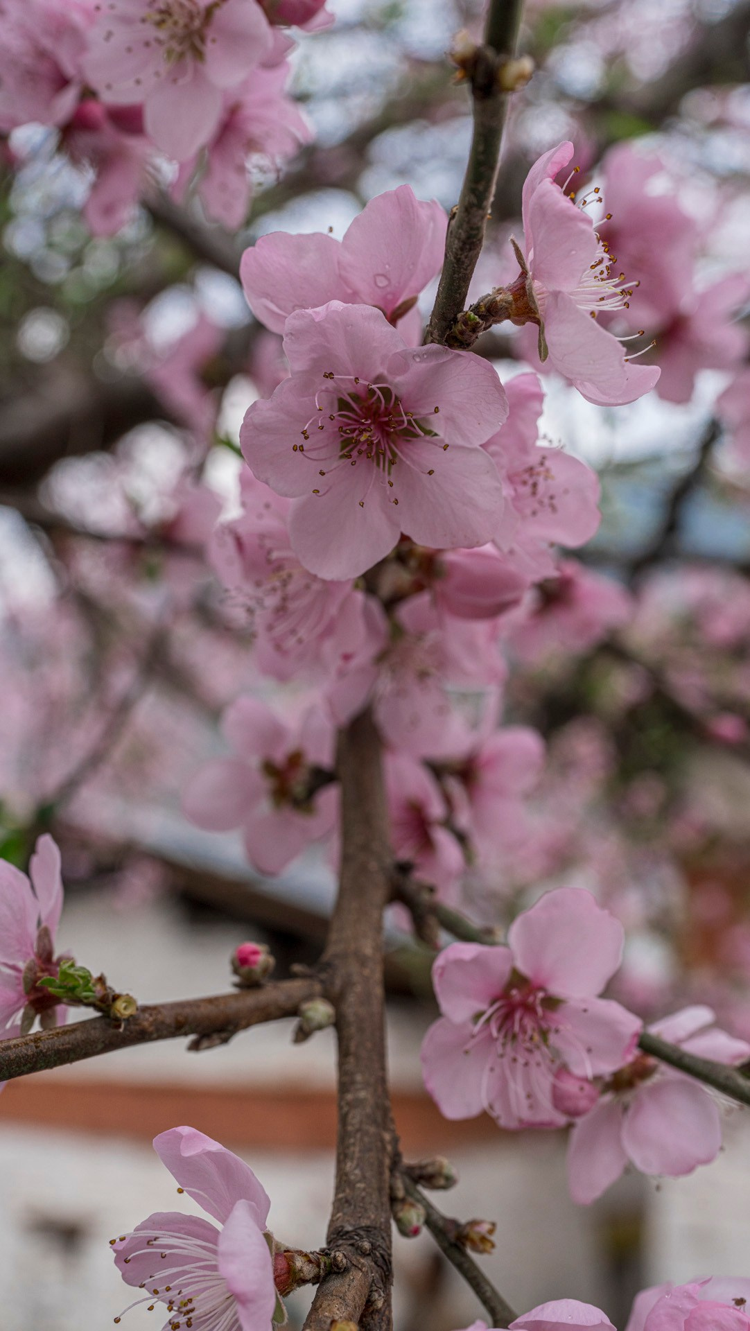 India travel. Фотограф Сергей Танков