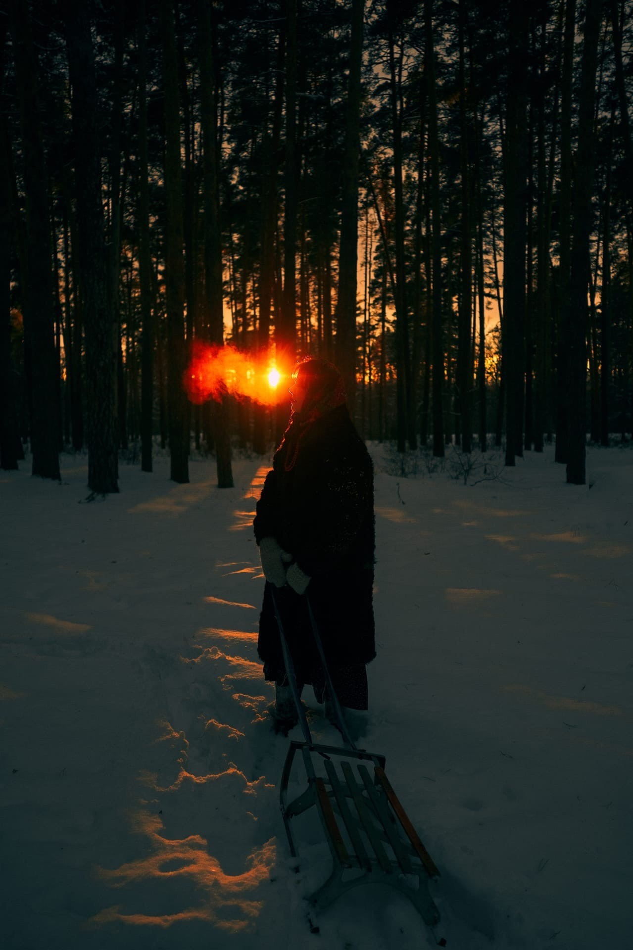 Гну свою линию | фотографирую в Тамбове и области