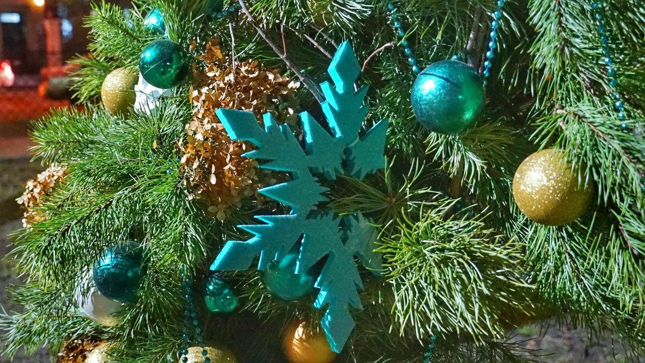 Портфолио. ЯФотограф / Фотограф Ярославль, хорошие цены услуги качество на фото и фотосессии