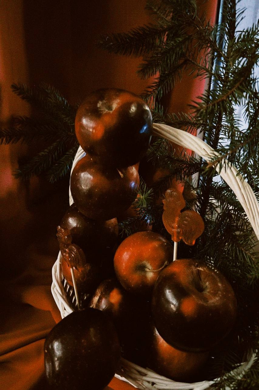 М4 Елка. Фотограф Настя Лев