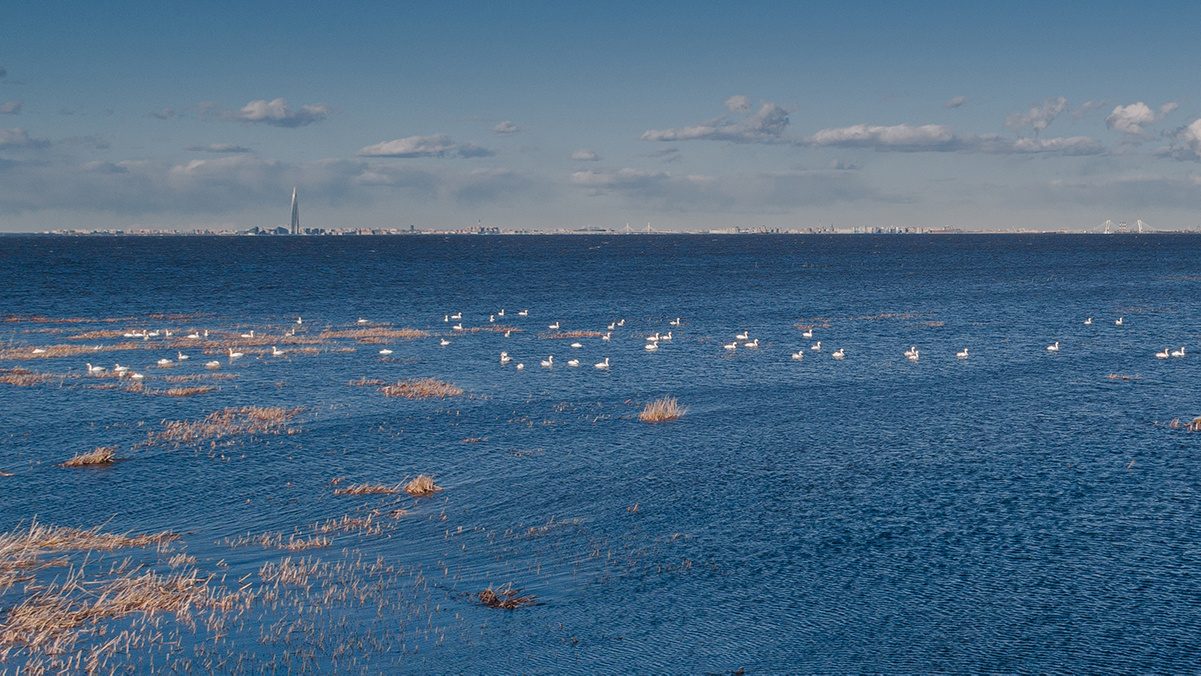 Аэрофото/видеосъёмка. 42clicks|||Студия видео и фотосъёмки
