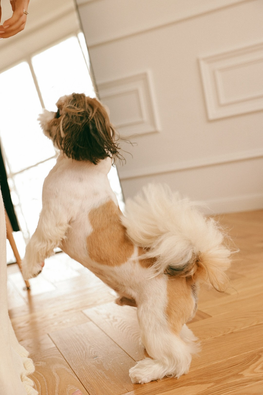 Год Роме. Фотограф Нижний Новгород