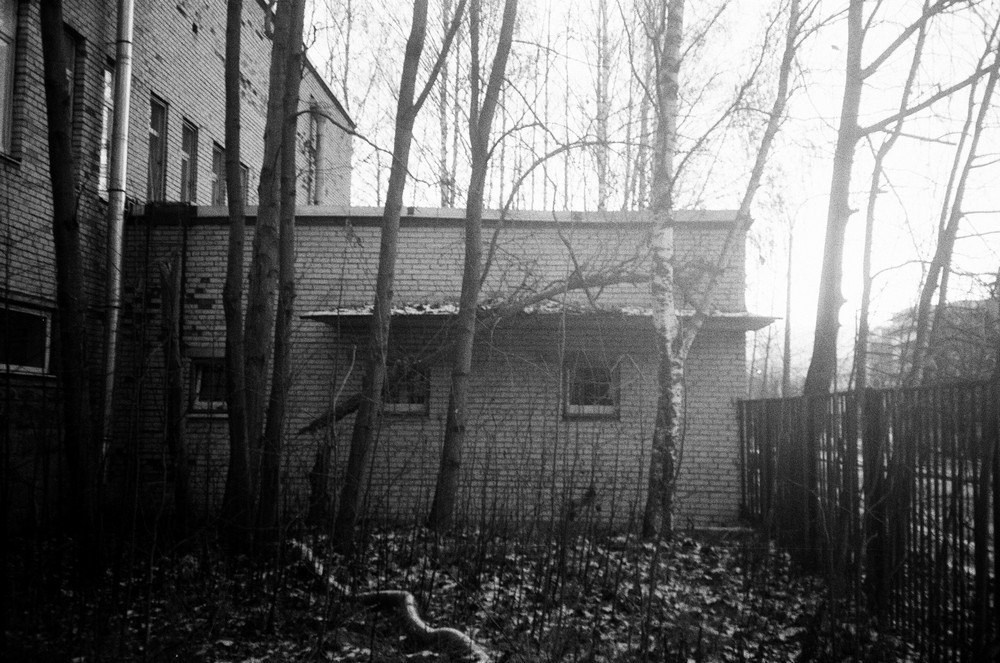 Полина Шелухина «11.11 11:00». Самоорганизация Низина