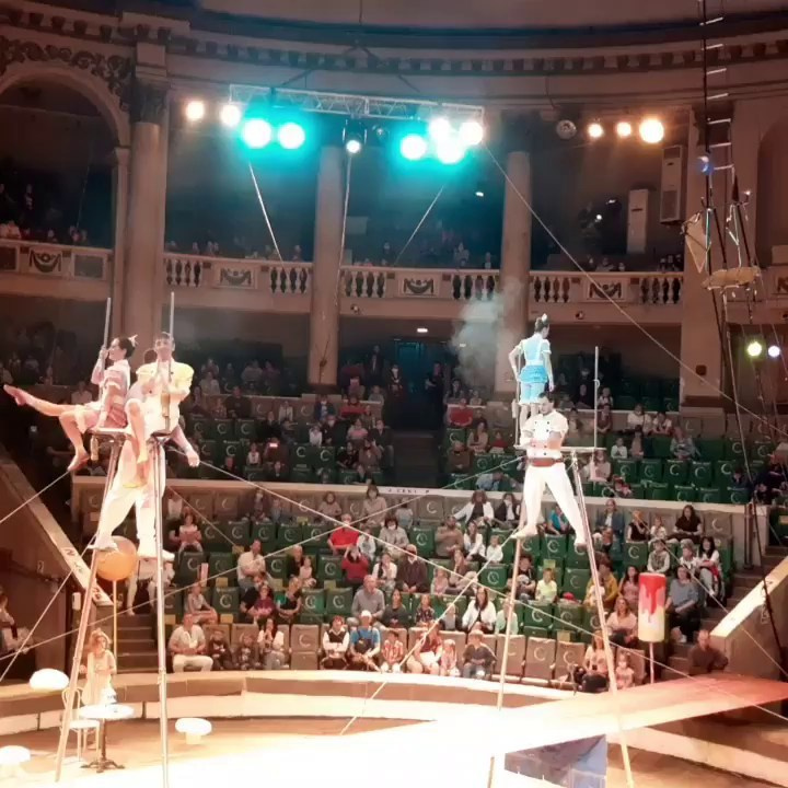 Волшебство цирка: «Девочка и слон» захватил наши сердца!