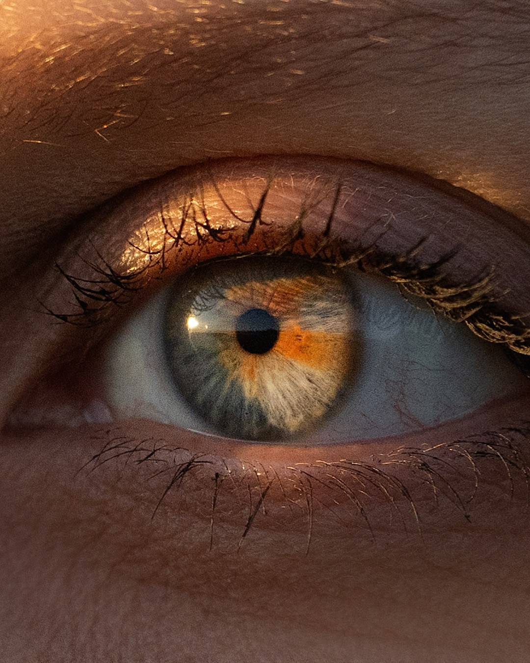 Рина и Марси. Фотограф анималист в Москве и Санкт-Петербурге Свиридова Анна