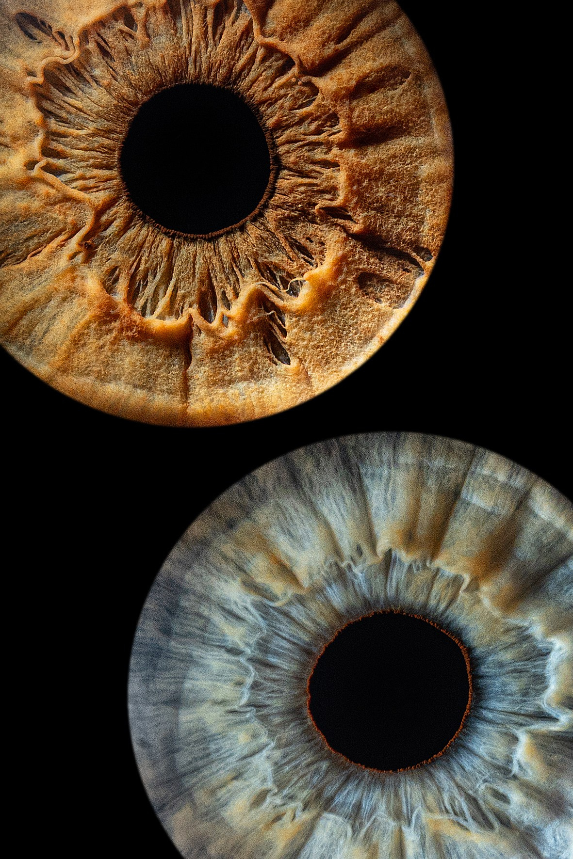 фотография радужки глаза Хабаровск фото радужки глаза Хабаровск