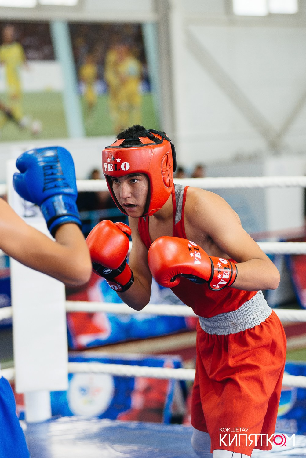 Турнир по боксу. КИПЯТКОМ КОКШЕТАУ
