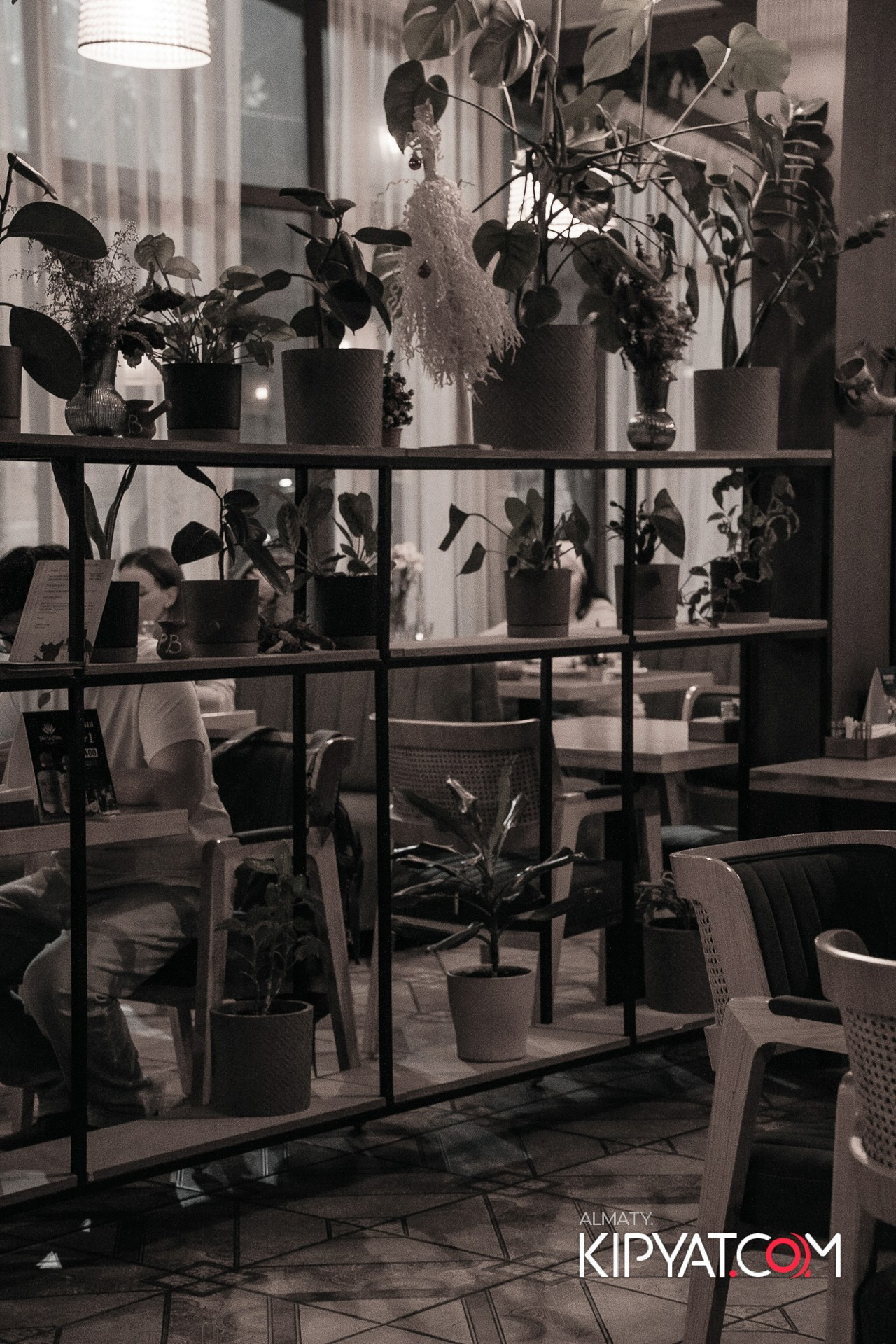 РЕСТОРАН МЦХЕТА. КИПЯТКОМ АЛМАТЫ!