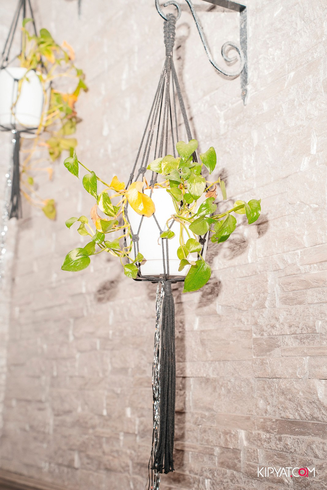 УХО И МЕДВЕДЬ НА ГАГАРИНА. КИПЯТКОМ АЛМАТЫ! Фотосъемка мероприятий в Алматы