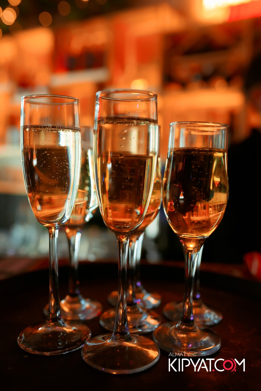 УХО И МЕДВЕДЬ НА САИНА. КИПЯТКОМ АЛМАТЫ!