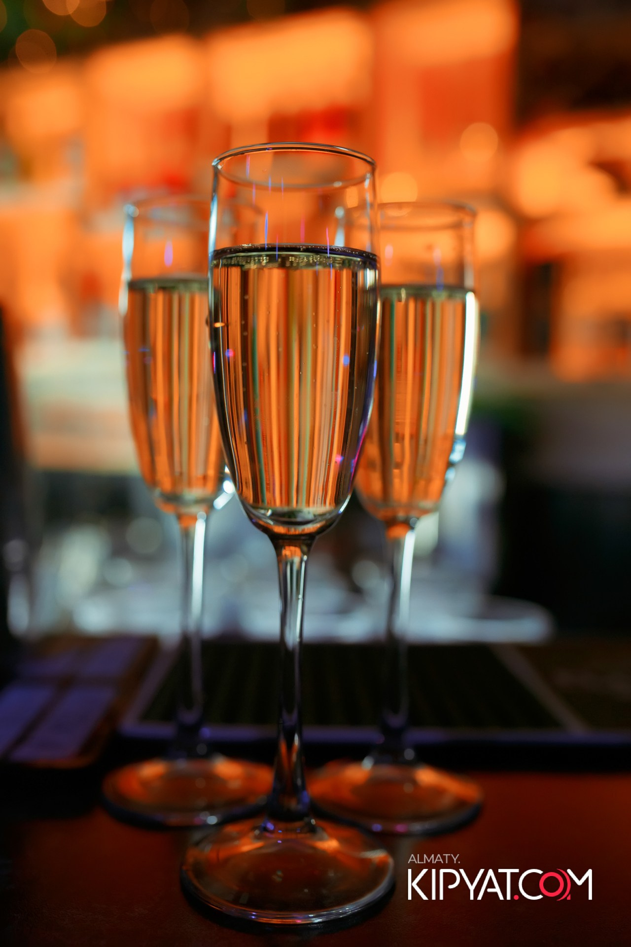 УХО И МЕДВЕДЬ НА САИНА. КИПЯТКОМ АЛМАТЫ!