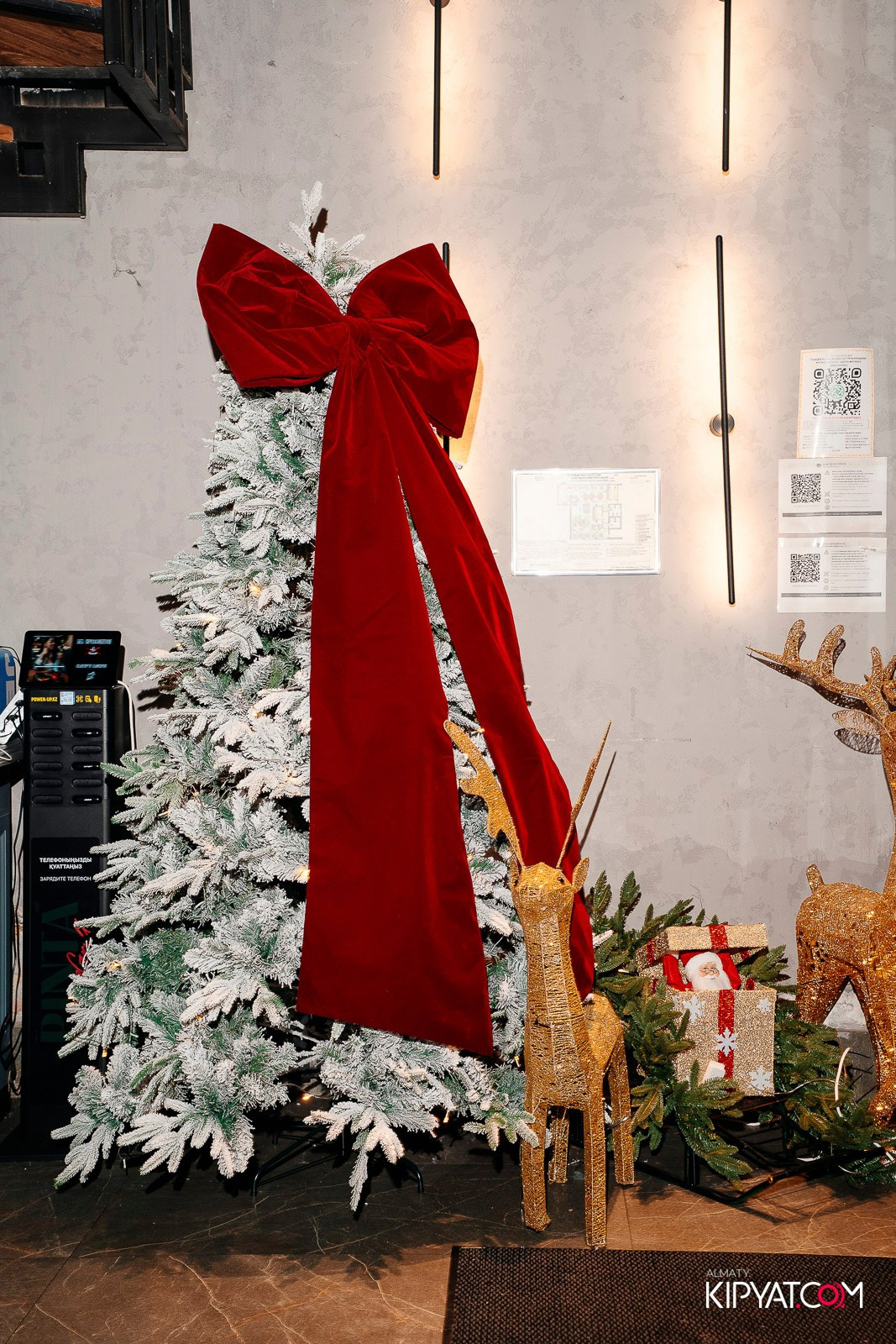 ПИНТА PREMIUM. КИПЯТКОМ АЛМАТЫ! Фотосъемка мероприятий в Алматы