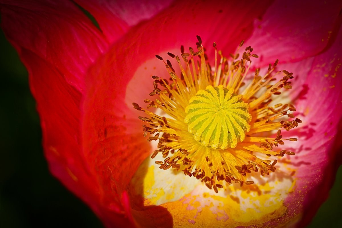 Макро. ZAGLADIN Bureau