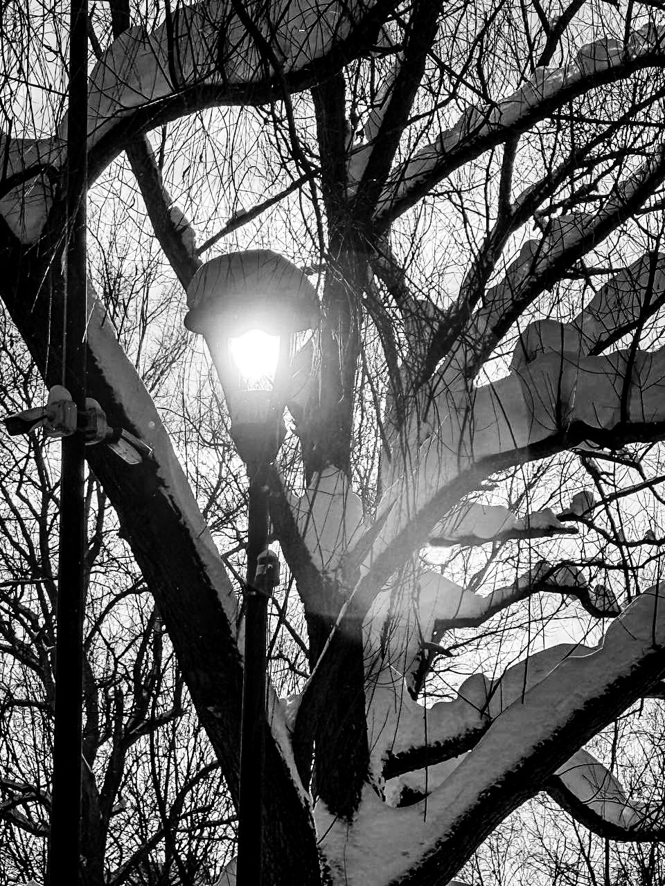 Поль Элюар. Авторские стильные фотокартины