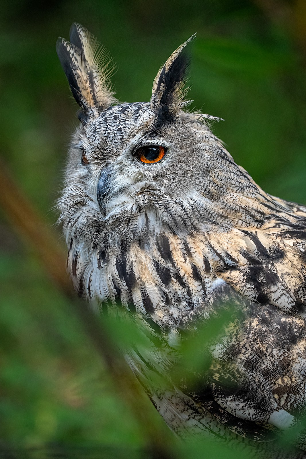 ЗООПАРК. Фотограф Владимир Остапенко
