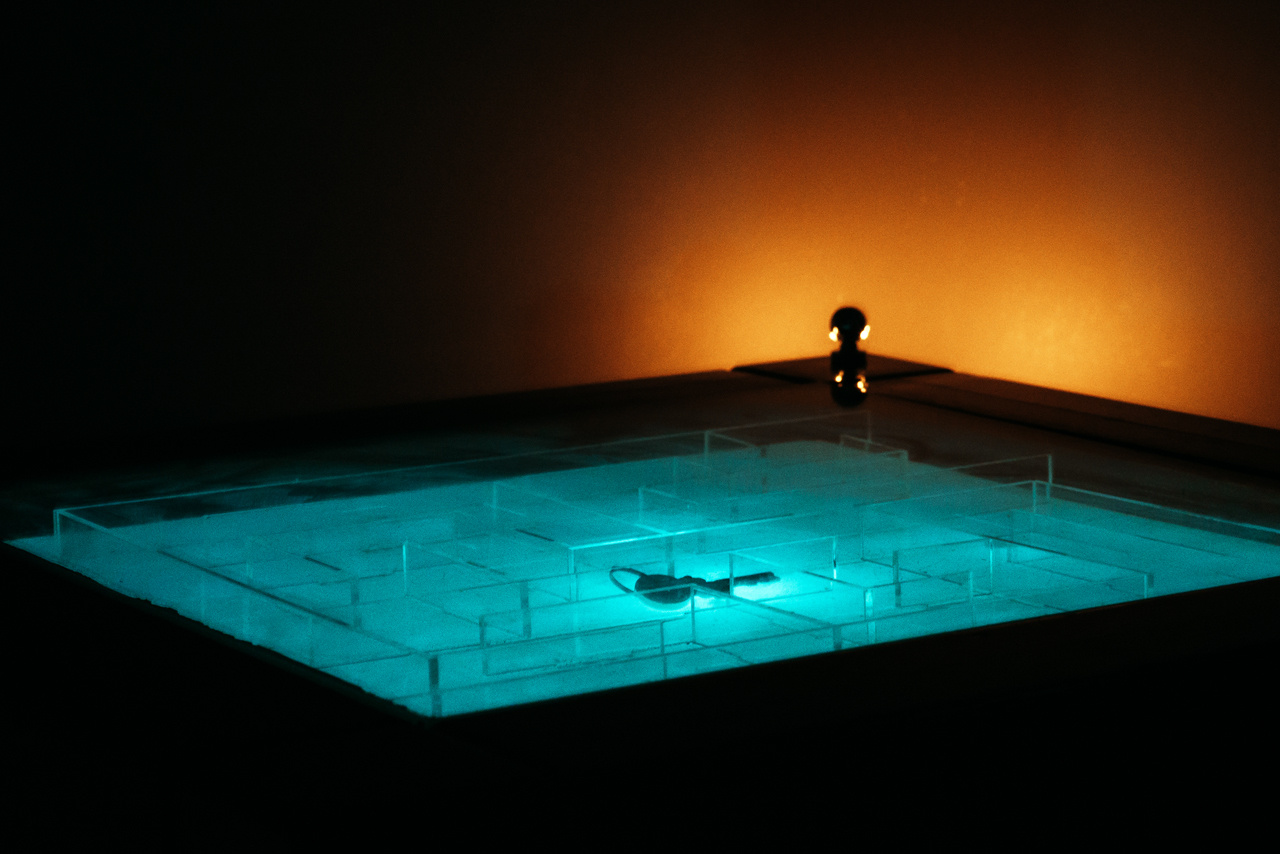 Съемка интерьеров. Имиджевый фотограф Илья Балух СПб — Москва  — заяви о себе красиво