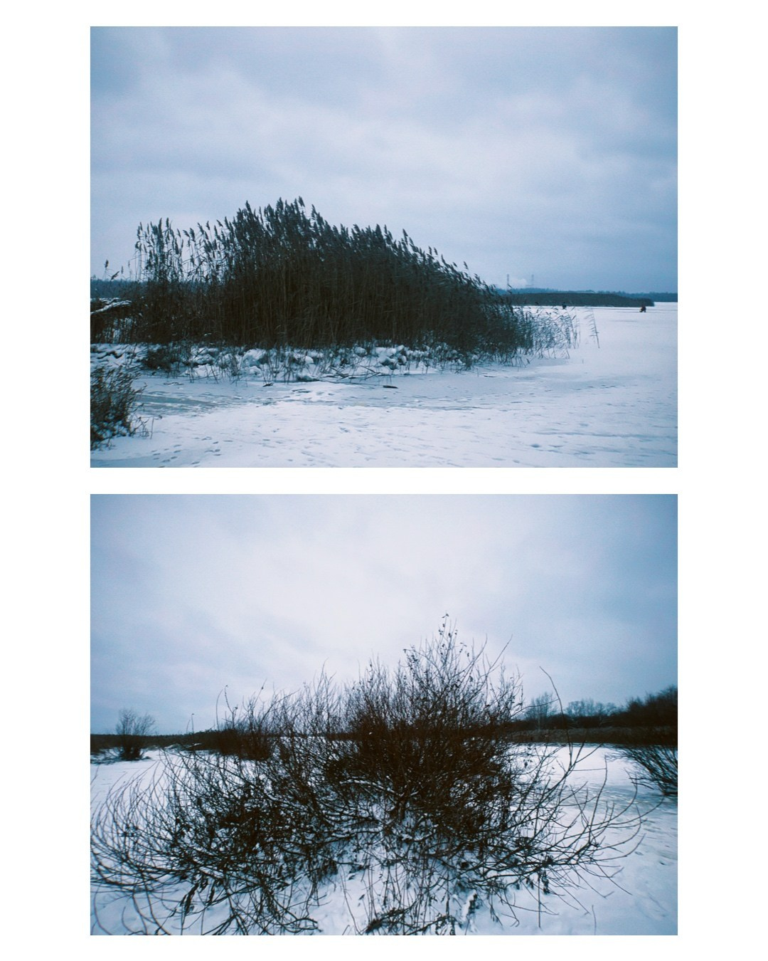 Saint-Petersburg. Alina Panover