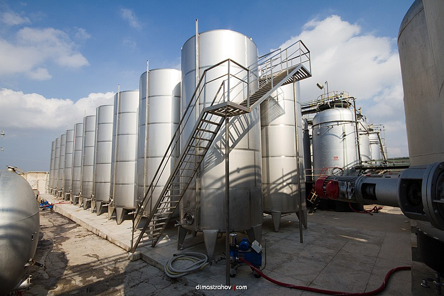 Винзавод Качинский +. Свадебный фотограф, фотосъемка в Крыму, Севастополе, Симферополе, Ялте