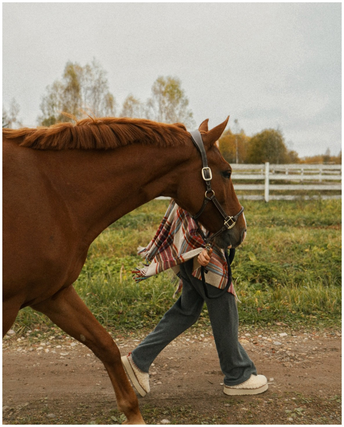 Полина. Портретный и свадебный фотограф в Москве Александра