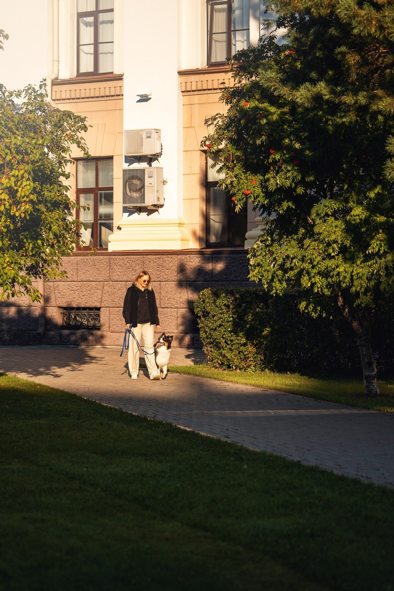 Отзывы. YULA KOLESOVA | Фотограф — Анималист | Художник | Тюмень