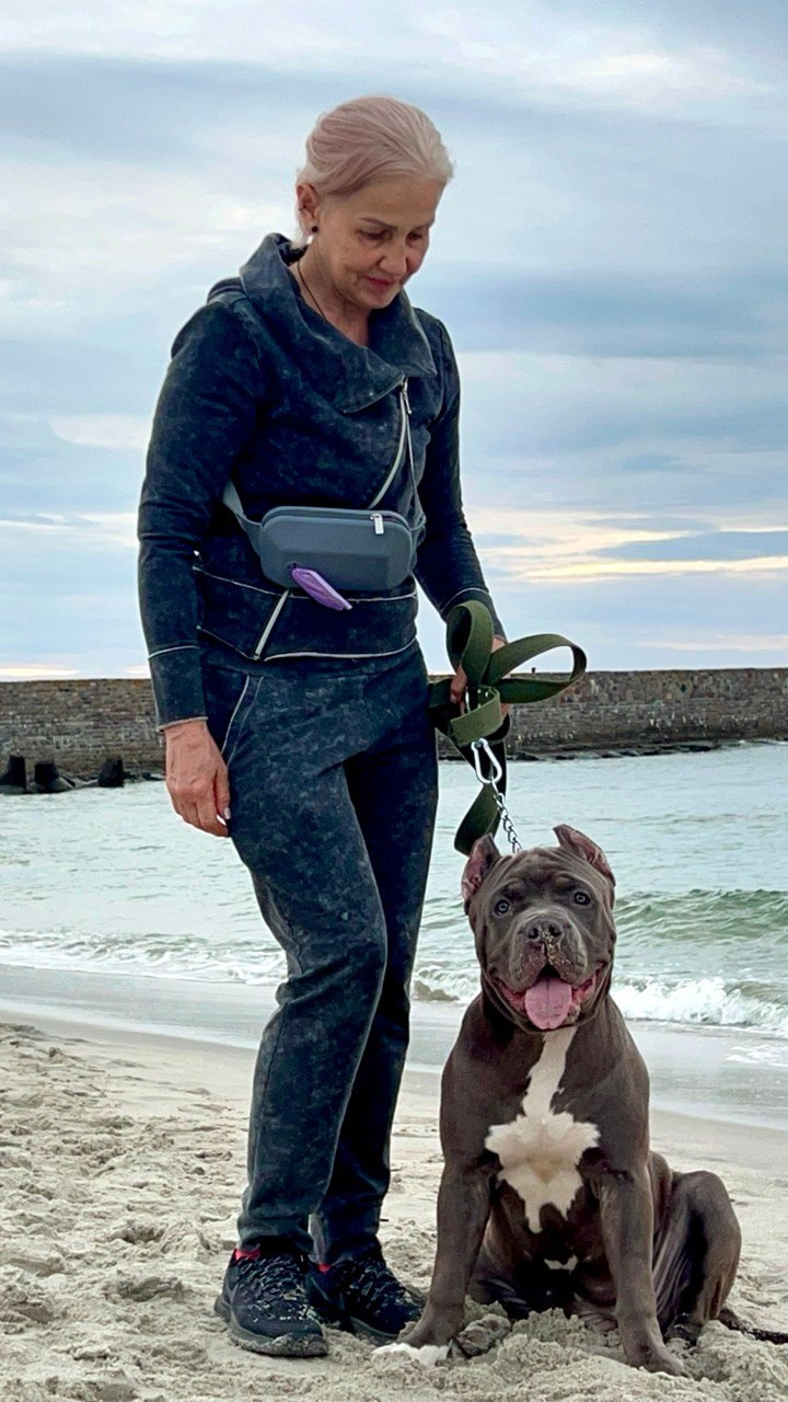 Hunter&Queenie, 13.01.25. Американские булли XL в г. Калининград. Питомник Great Bully UNIVERSE