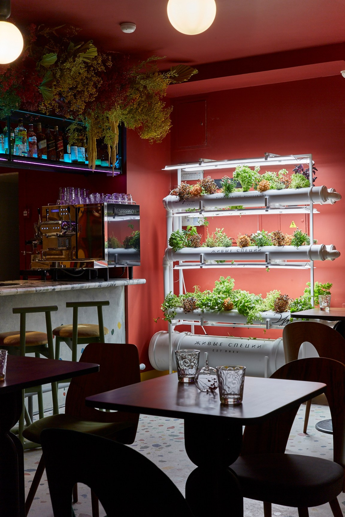 Вермутерия 2. Лена Сми интерьерный и портретный фотограф. Москва и Санкт-Петербург