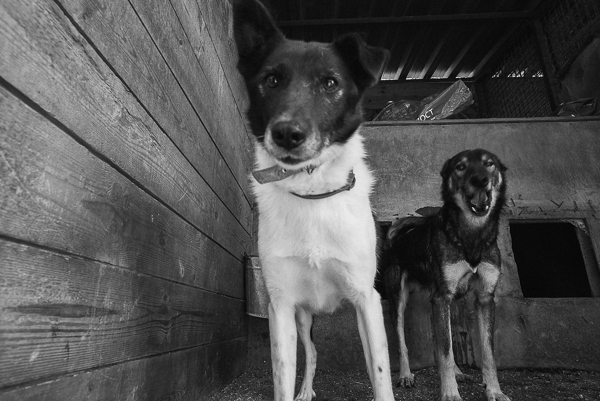 Синдром ожидания. Промышленная и репортажная фотография