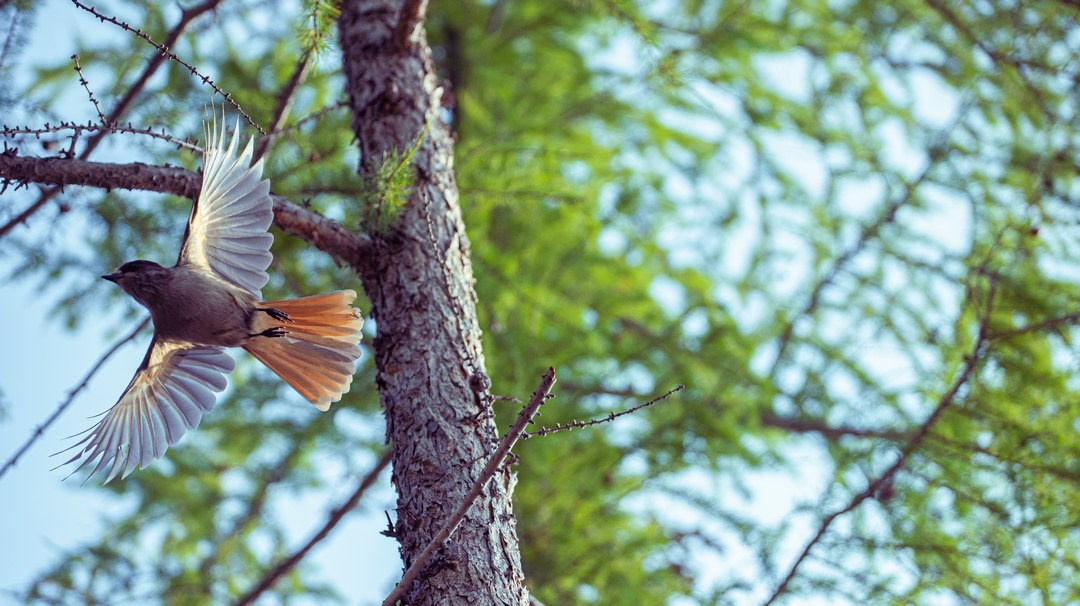 Фотограф Эдуард Алмадаков